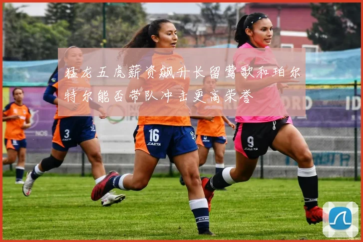 猛龙五虎薪资飙升长留莺歌和珀尔特尔能否带队冲击更高荣誉