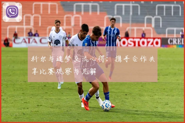 科尔与追梦交流心得：携手合作共享比赛观察与见解