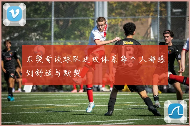 东契奇谈球队进攻体系每个人都感到舒适与默契