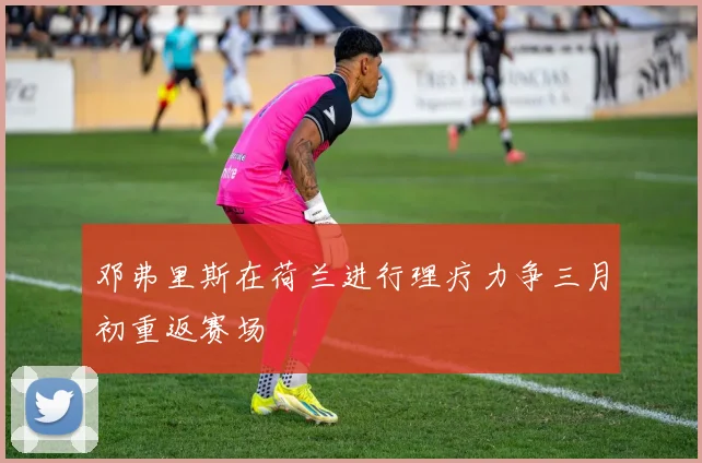 邓弗里斯在荷兰进行理疗力争三月初重返赛场