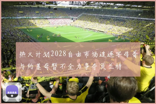 热火计划2028自由市场追逐字母哥与约基奇暂不全力争夺莫兰特