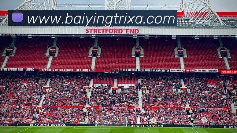 百盈体育平台生态图